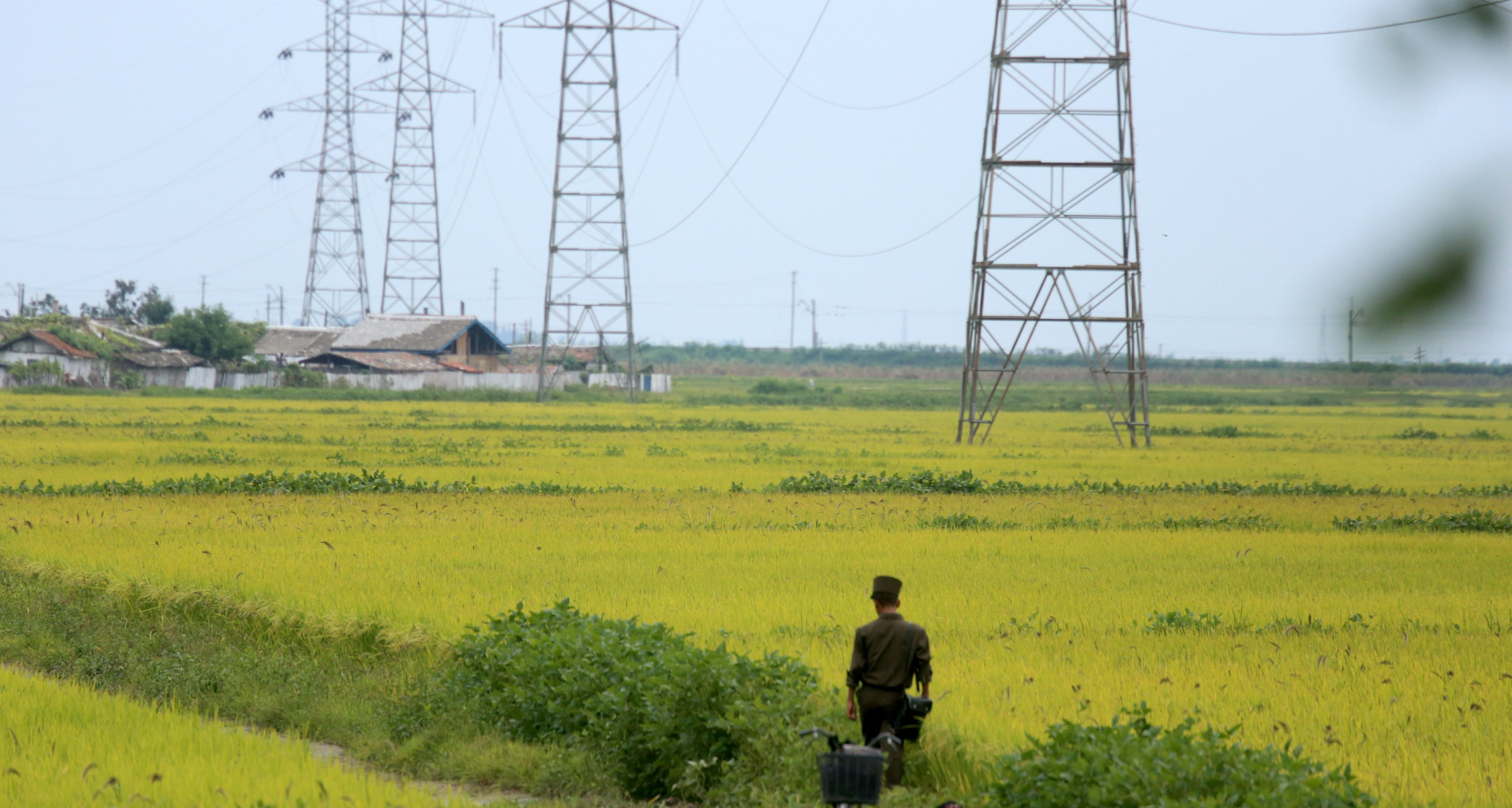 North Korea dismantles power lines on border with South Korea