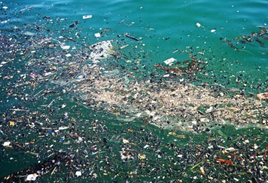 Rapid growth of "Big Garbage Patch" records in Pacific Ocean