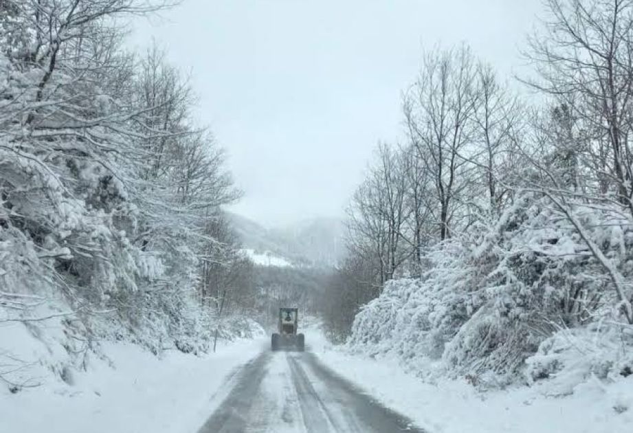 Turkiye expects to have harshest winter in last 50-60 years