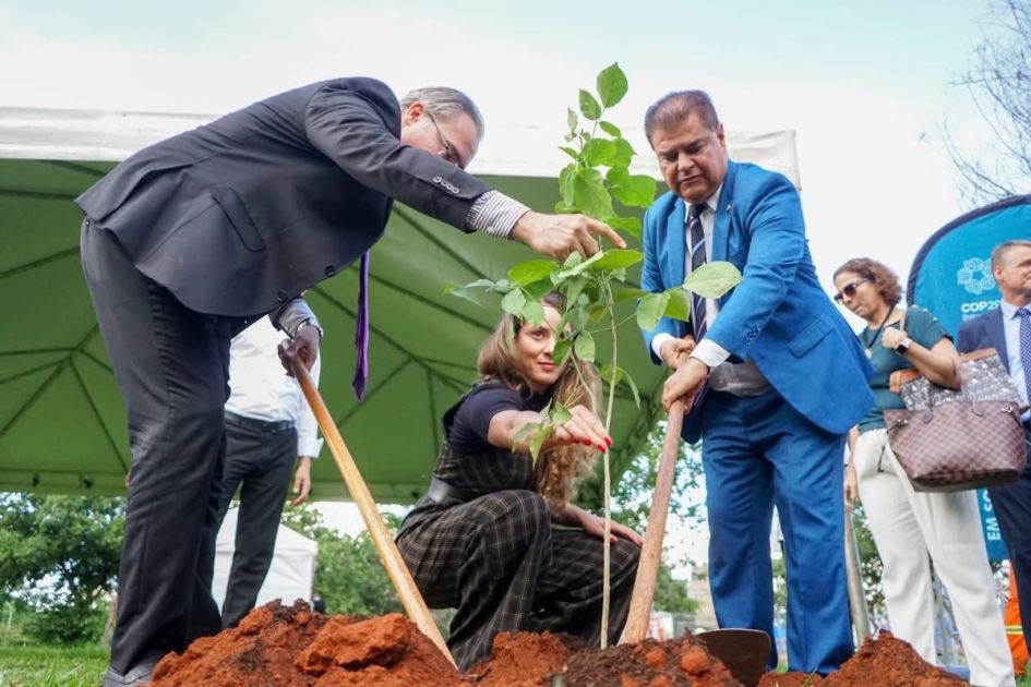 Azerbaijan initiates tree planting campaign in Brazil highlighting COP29 [PHOTOS]