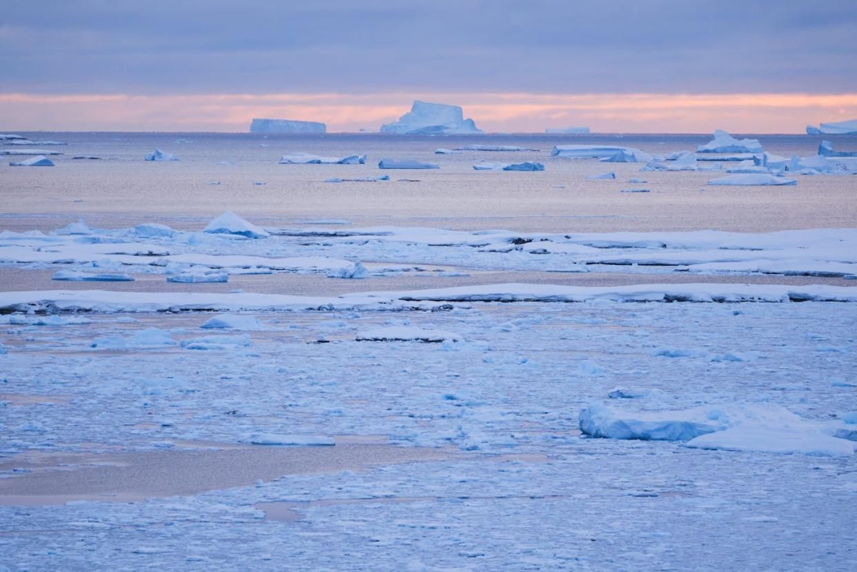 Ecosystem based on plastic garbage find in Antarctica