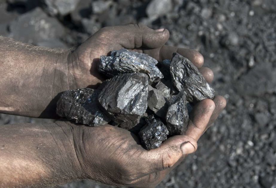 Global demand for coal reaches record high this year