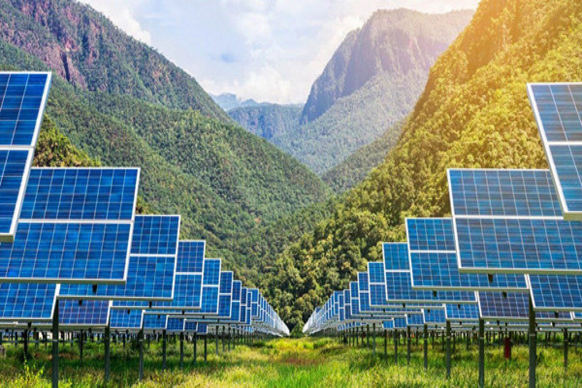 Azerbaijan's Renewable Energy Agency sets benchmark for green energy efforts in S Caucasus