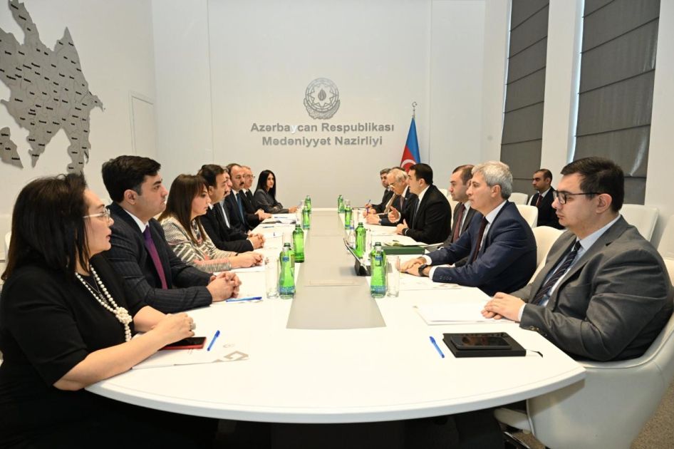 Culture Ministry hosts meeting with Public Council members [PHOTOS]