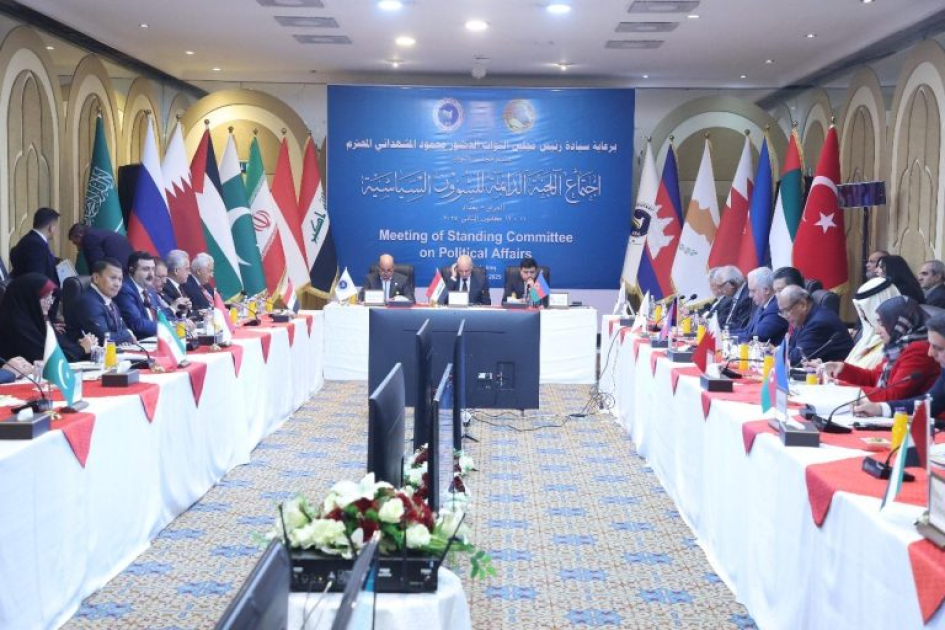 Asian Parliamentary Assembly's Political Affairs Committee meets in Baghdad [PHOTOS]