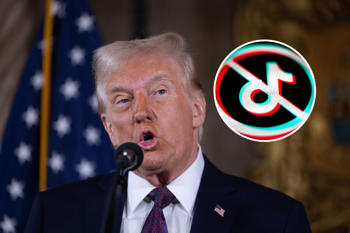 US President-elect says ban on TikTok may be postponed