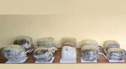 Smuggling attempt thwarted by Azerbaijan's border service