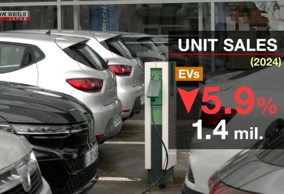 Electric vehicle sales declines for first time in 2024 in European Union