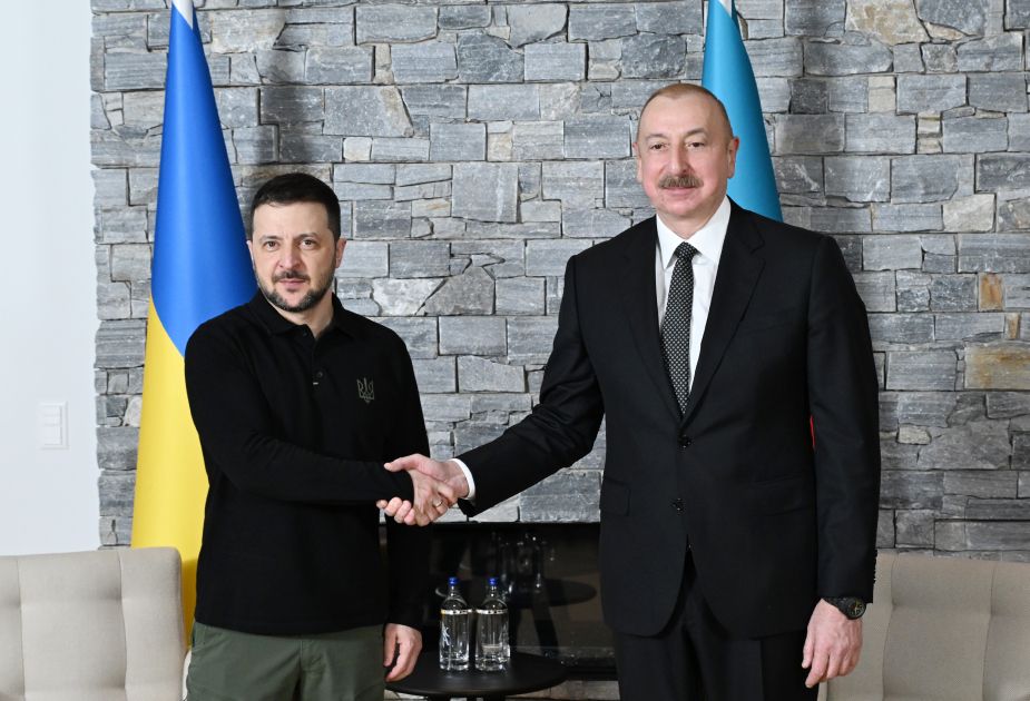 President of Azerbaijan Ilham Aliyev meets with President of Ukraine in Davos [VIDEO]