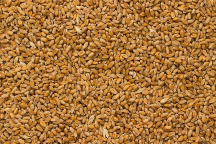 Wheat import costs drop significantly for Azerbaijan in 2024