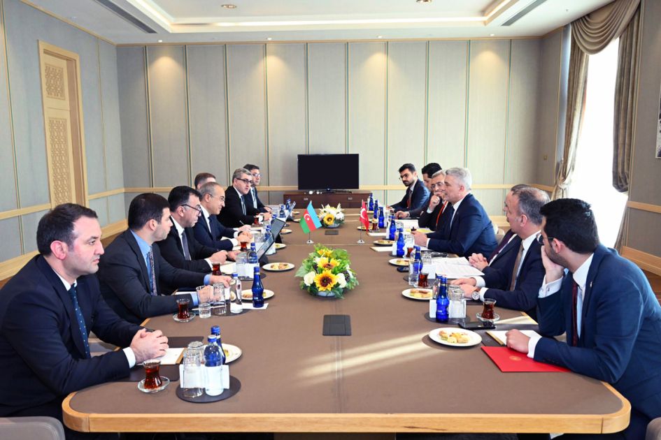 Azerbaijan, Türkiye discuss expanding economic and energy cooperation [PHOTOS]