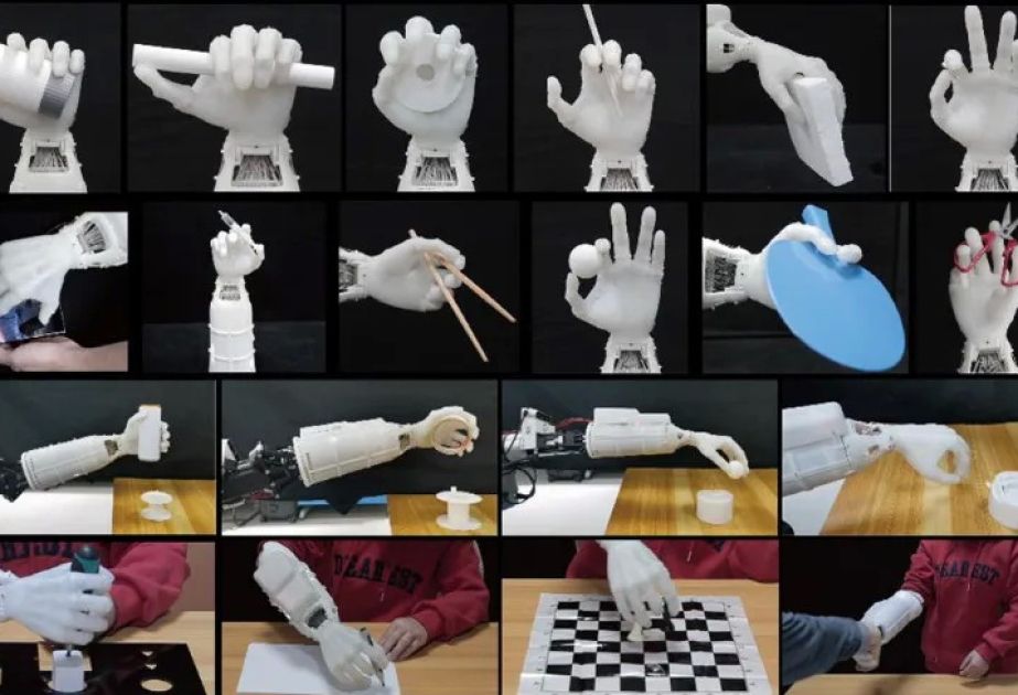 China develops bionic prosthetic arm that performs 33 functions