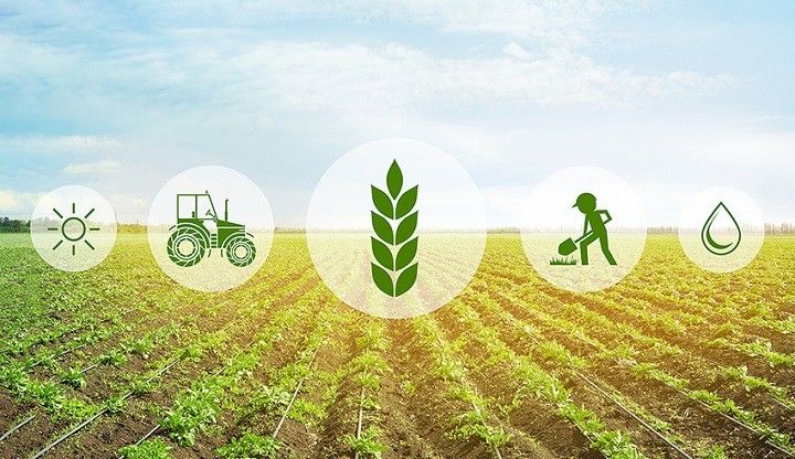 Azerbaijan reveals total value of agricultural products in agroparks