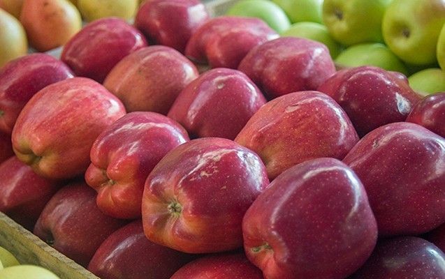 Azerbaijan sees significant growth in fruit exports in early 2025