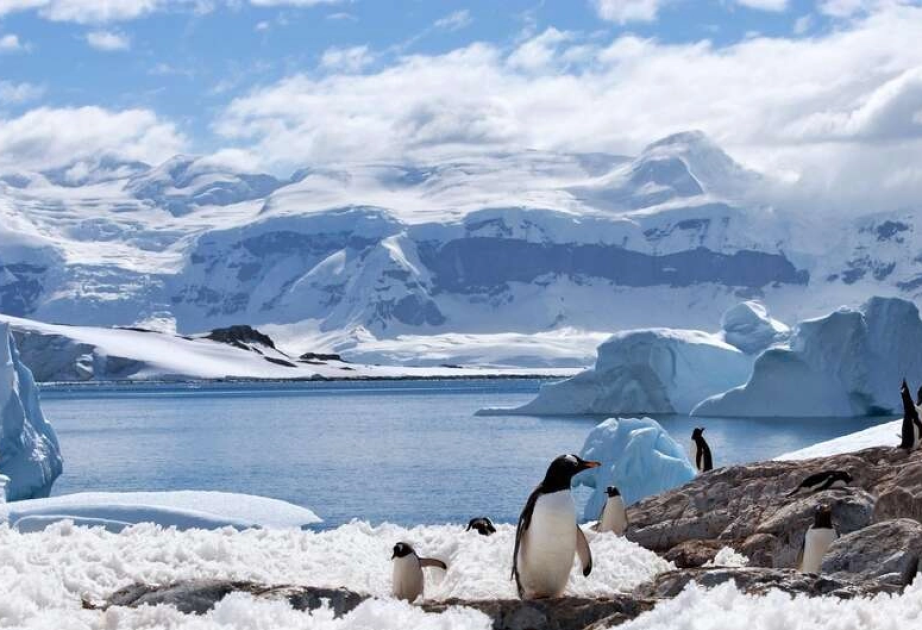 Large-scale methane emissions detects in Antarctica