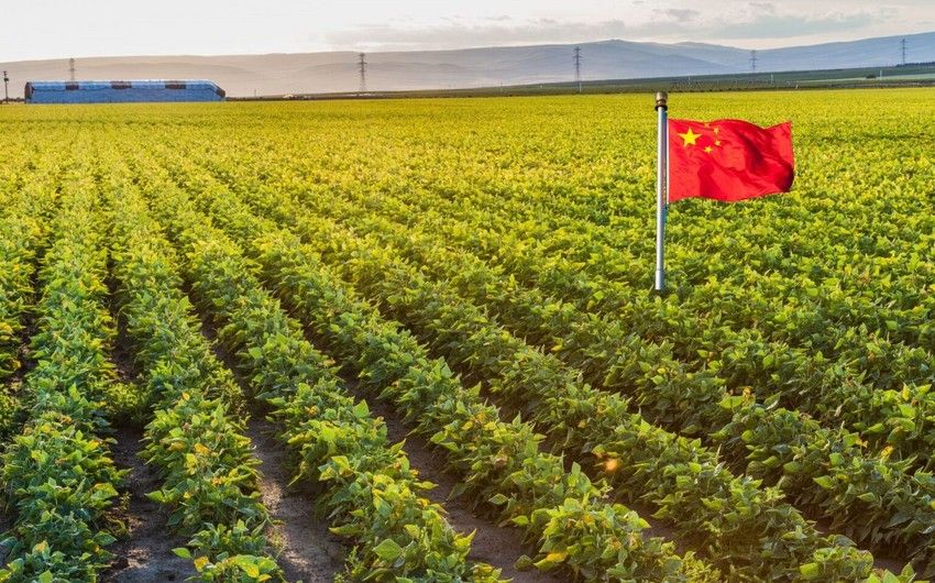 China may impose duties of 10% on agricultural products from United States