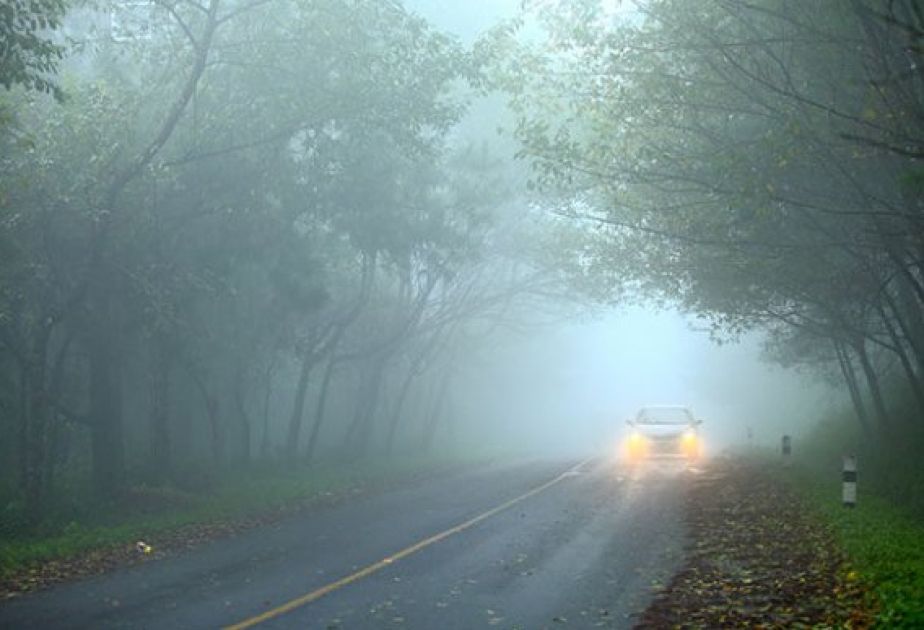 Reduced visibility on roads: foggy conditions forecasted for March 10