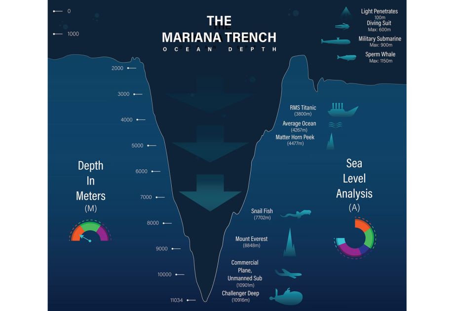 Chinese scientists map deepest marine ecosystem