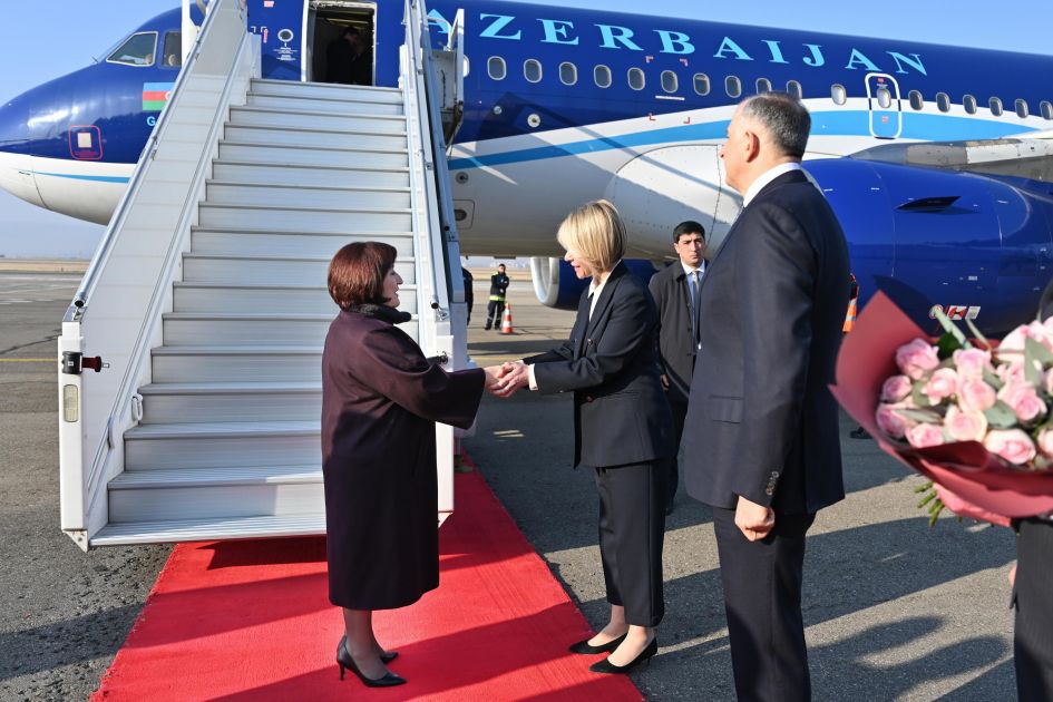 Speaker Sahiba Gafarova leads parliamentary delegation on official visit to Georgia [PHOTOS]