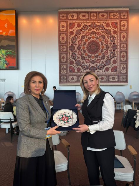 Azerbaijani official and Serbian minister discuss gender equality and family Issues at UN [PHOTOS]