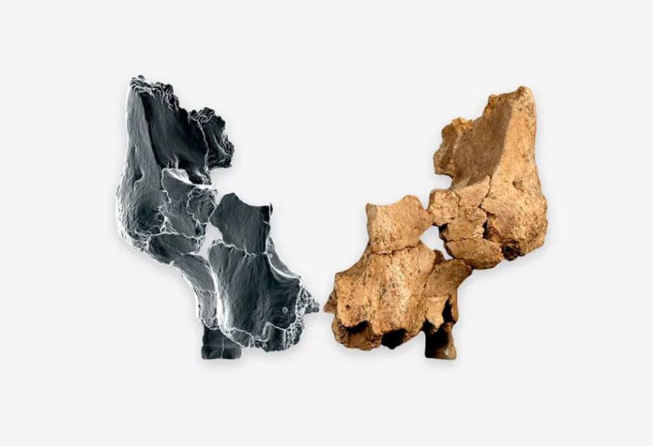 Scientists find oldest human remains in Western Europe