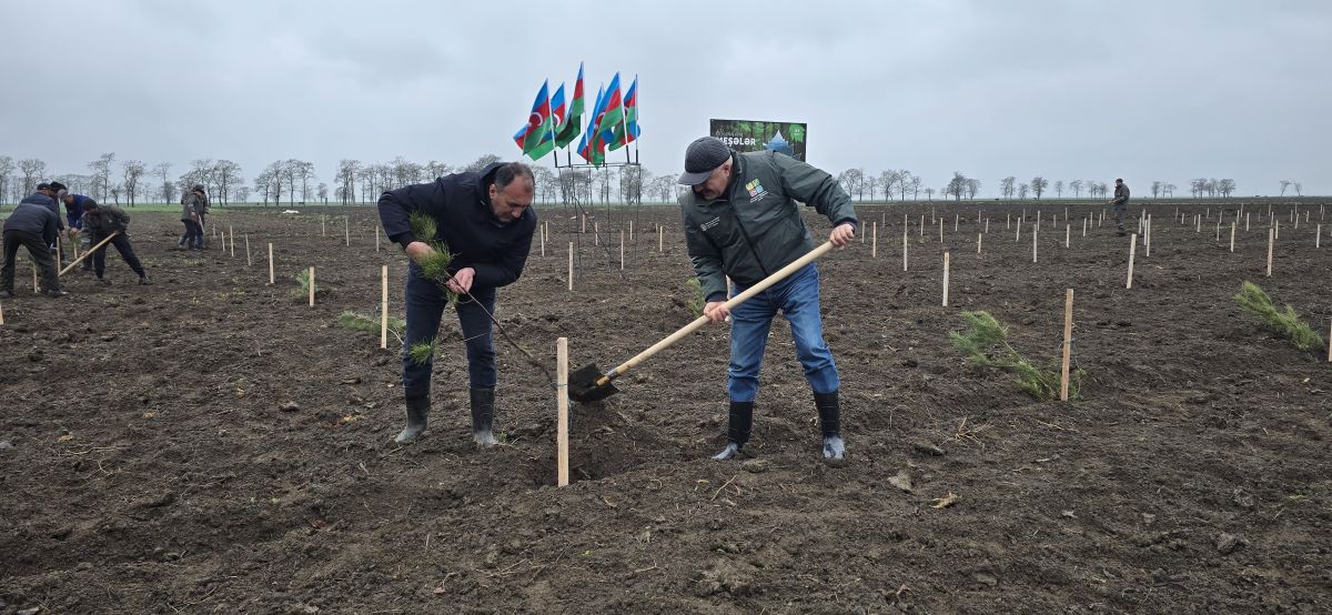 Azerbaijan marks International Day of Forests with large-scale tree planting [PHOTOS]