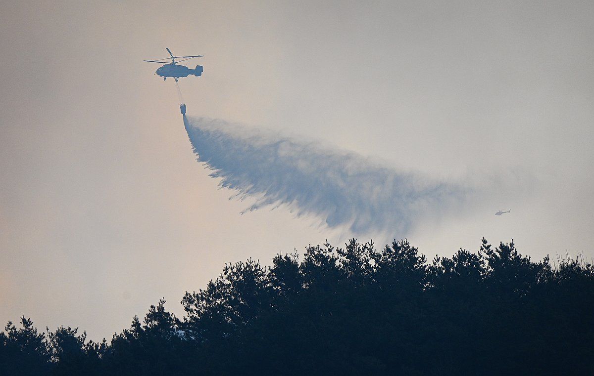 S. Korea battles multiple wildfires