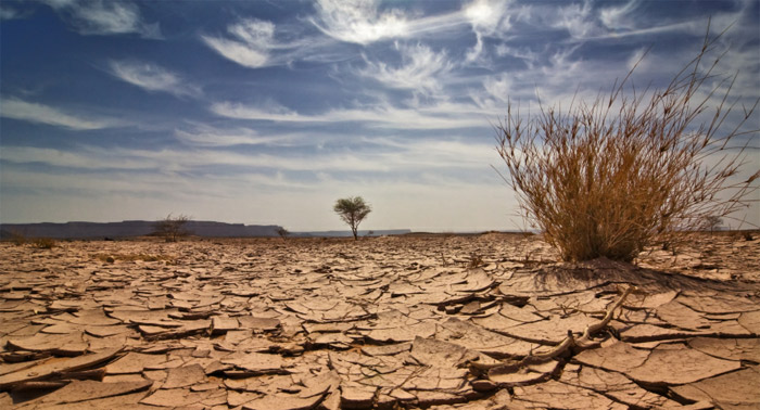 Armenia's villages turning into desert