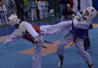 National taekwondo fighters shine in Russia