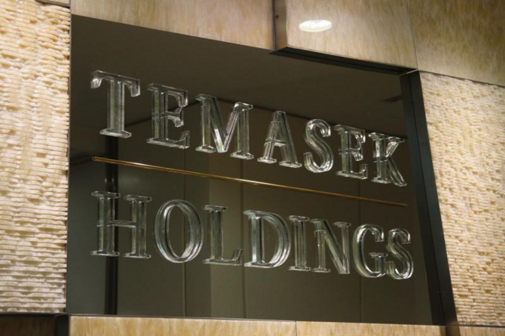 Facebook co-founder, Temasek invest in Asia tech startups